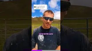 Это альфа-самец из альфа-самцов.
