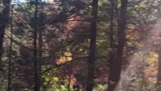 TODAY on HVNN.com  October 20, 2014