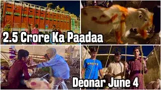 Deonar Bakra Mandi June 4, 2024 Vlog with Mammoo & Empire Goat Yard, Mumbai