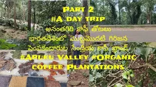 అనంతగిరి కాఫీ తోటలు SpiceMarket #Ananthagiri coffee plantation #Aruku