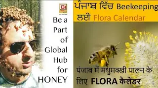 PUNJAB FLORA CALENDAR for beekeepers