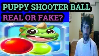 PUPPY SHOOTER BALL  Like BUST A MOVE but with PAYPAL