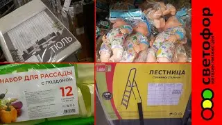 СВЕТОФОР 🚦Привезли МОРЕ новинок!   23 января 2025  Беларусь