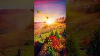 Galaxy Themes - [poly] beautiful sunset over the forest in fall