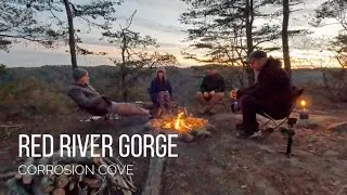 Brian's Got Tree Bagged & Tarp Condom