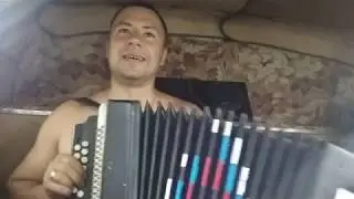 На гармони Ой калина, ой малина