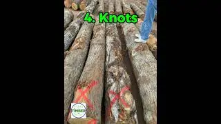 Six most important points when choosing wood products | Timber Talks Official
