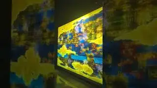 On Thursday, teamLab's first solo exhibition in New York in ten years opened at Pace. The show