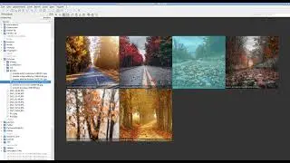 nomacs. Графический вьювер для linux