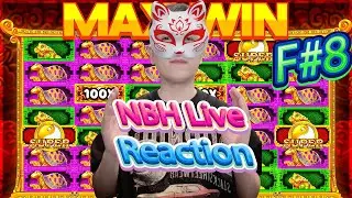 NBH F#8 Reflection | Th&aacute;nh B&ograve; Kh&ocirc;ng Chỉ L&agrave; C&aacute;i T&ecirc;n...Con Mồi Hay L&agrave; Kẻ Đi Săn 🐱🐭