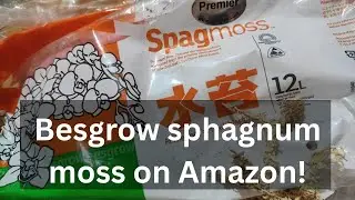 Besgrow sphagnum moss - now affordable and near you! #orchid #orchidcare #besgrowsphagnummoss