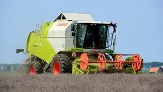 Forget me nots harvest / Flowers for the seed / With a Claas Tucano 440 *FULL HD