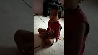 Nayi mari 🐶#shorts #youtubeshorts