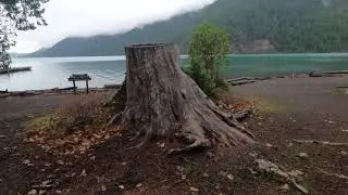 Fall Viewing at Lake Crescent Lodge in Olympic National Park, Washington