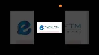 EMEX FTM INTERNATIONAL TRADING