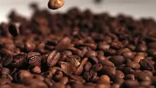 Barista Secrets for the Perfect Coffee at Home | Coffee Brewing Tips