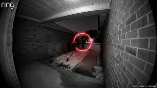 9 minutes of ring doorbell camera footage