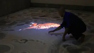 Do not yet fold your wings  - Installation by Bisakha Sarker, Ansuman Biswas and Chris Davies