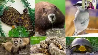Celebrate EARTH WEEK &ndash; Reflections on Wildlife and Wild Space Conservation With Beth Gilhespy