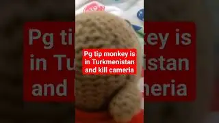 PG TIP monkey in Ashgabat t&uuml;rk and kills camera because he is famous and hate camera #funny #monkey