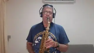 Yaad Na Jaaye Beete Dinon Ki - Saxophone Cover - Nandan Sardesai