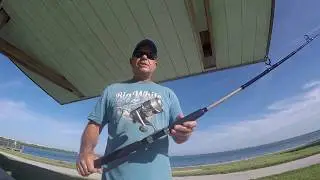 Обзор комплекта катушек Berkley Fusion Rod