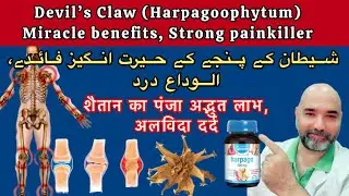 Devil&rsquo;s Claw (Harpagoophytum) Supplements Amazing Benefits, Goodbye Joints Pain || Spanish Pk