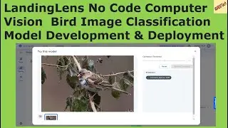 Landing Lens No Code Computer Vision Bird Image Classification Model Development and Deployment