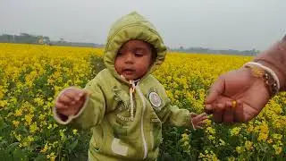 @cutebaby @KidsShorts @anuragroxxyt   মনির সাথে প্রথম সরিষা ক্ষেত ভ্রমণ 🥰🥰