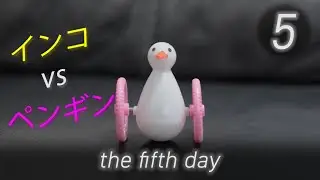 the fifth day penguin ★ 5日目　インコ vs ペンギン