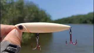 Excelentes Robalos y Pargos con Paseante color Hueso