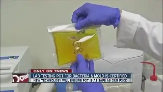 Local lab certified to test pot for bacteria, mold
