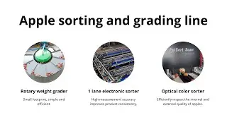 Fstsort apple sorting machine,fruit grading and packing machine,fruit processing equipment
