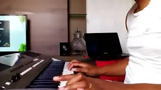 solo de acordeon sampleado  PSR E 443