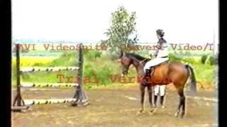 Jean d'Orgeix II. (2/6) Trening na przeszkodach, Przygotowanie do zawodów