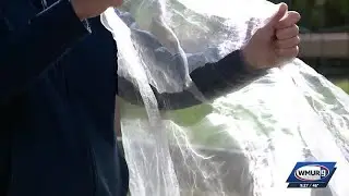 Grow it Green: Protecting your garden from the cold