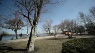 8615-8587 Pontiac Lake Rd in White Lake. Live on the Lake!