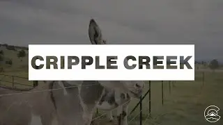 Explore Cripple Creek near Colorado Springs, CO