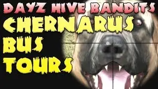 Chernarus Bus Tours! - Day Z Hive Bandits Episode Ten