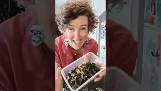 Dungeon catering: Eel sorbet (a recipe for fans of the Wednesday Weeks series)