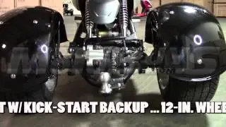 Mojo 50