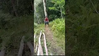 comedy funny godvibes entertainment purpose only #comedypost #funnypost #comedymove #comedyvidoes