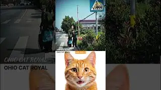 road crossing aura ☠️ #cat #funny #tiktok #catlovelife #memes