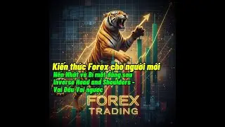 KTFX Vai ngược YT