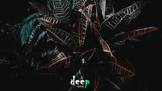 Karizma - Tech This Out Pt.1 (Yoruba Soul Mix)