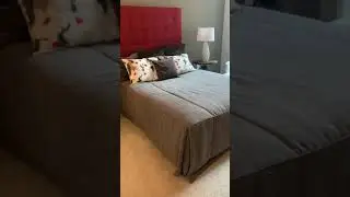 708 Sq Foot One Bedroom