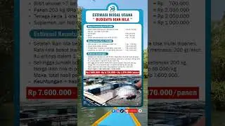 Modal usaha budidaya ikan nila 1.000 ekor ‼️‼️ #belajarbisnis #modalusaha #motivasibisnis #idebisnis