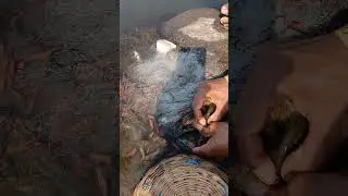 Nadimadhli masemari || River fishing 🎣