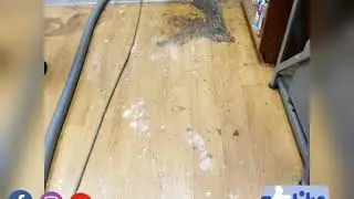 Commercial Cleaning