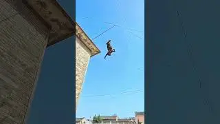 high Wall 🧱 for jumping dog style #trending #dog #shortsvideo #viral #youtubeshorts